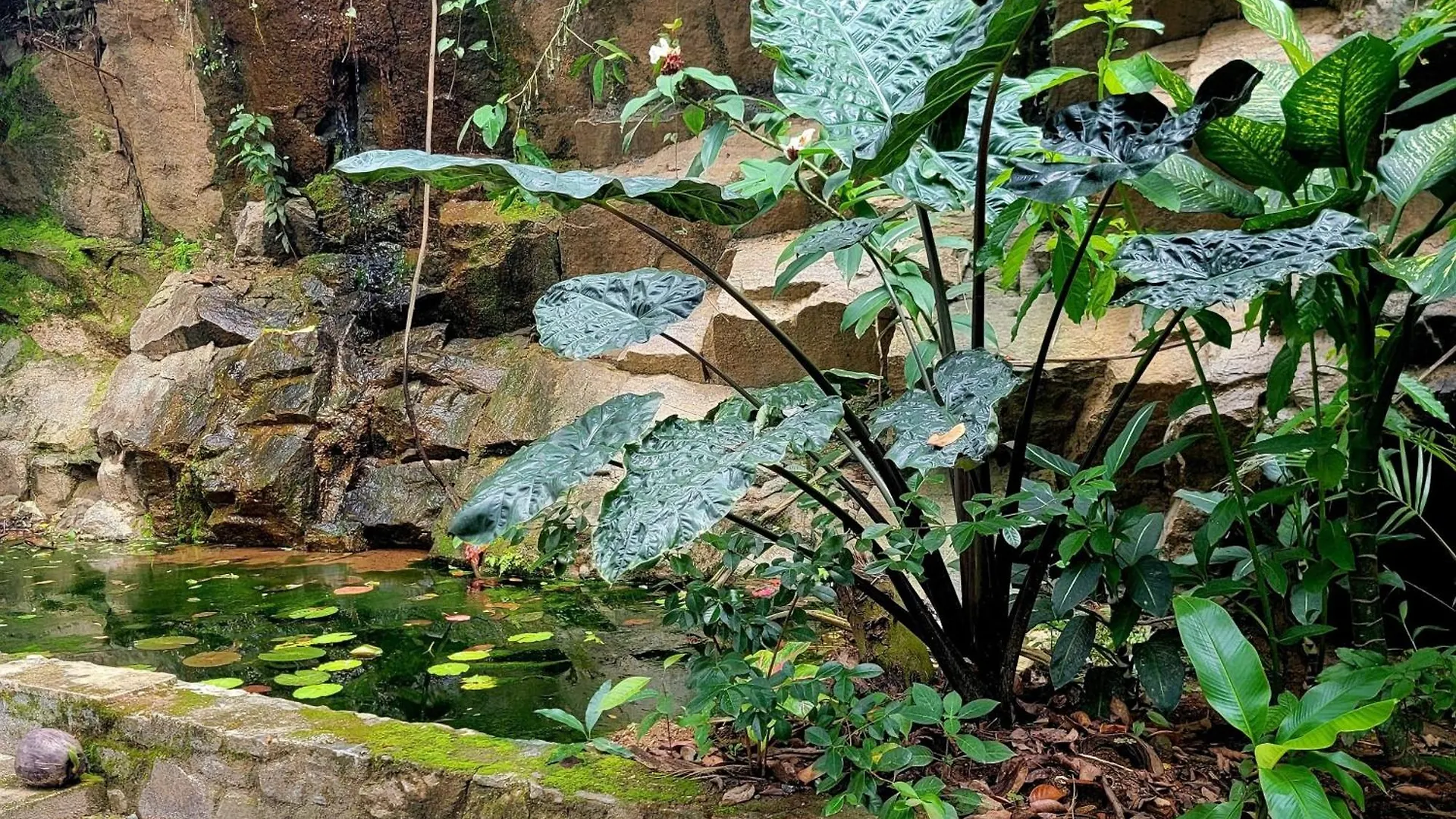 Homestay Pinnacle Of Everything Kandy